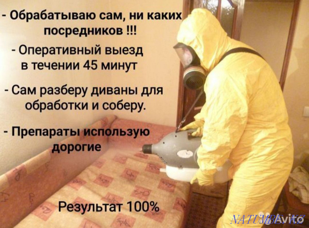 Дезинфекция Дератизация Дезинсекция Алматы - изображение 3