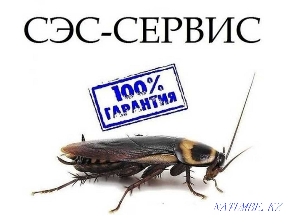 Дезинфекция СЭС Уничтожение клопов, тараканов, блох. Гарантия Кокшетау Кокшетау - изображение 1