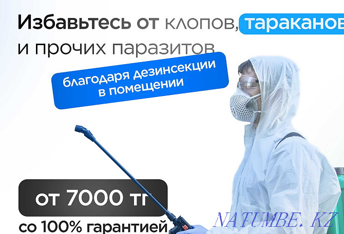 Disinfection Disinsection Destruction of bedbugs OS mice Petropavlovsk - photo 1