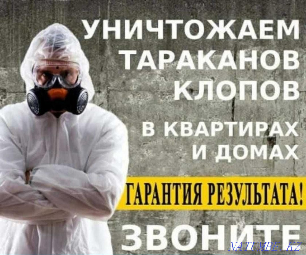 Дезинфекция от всех видов членистоногих Алматы - изображение 2