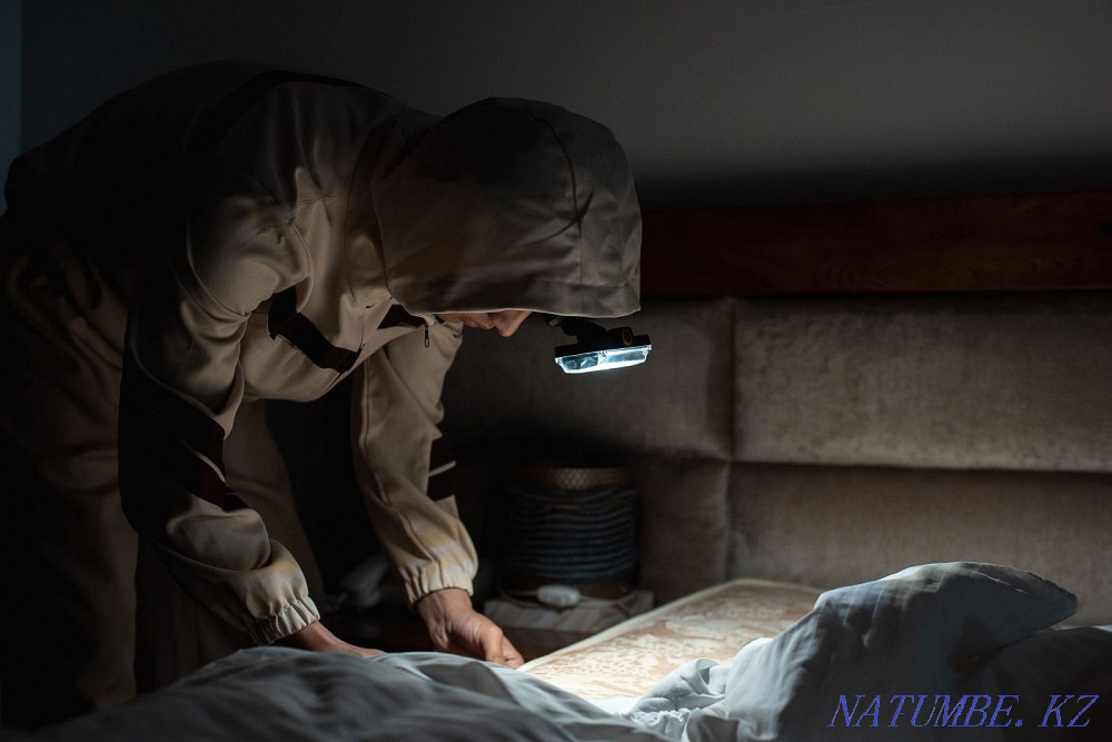 Дезинфекция от всех видов членистоногих Алматы - изображение 3