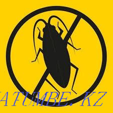 Disinfection extermination of bedbugs of cockroaches. guarantee NOT EXPENSIVE Kostanay - photo 1
