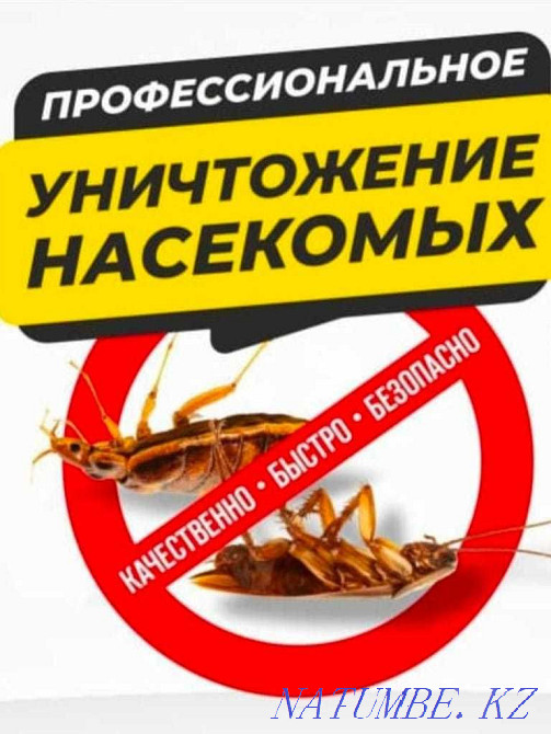 Дезинфекция, ?андала?а Тара?ан?а Тараз - изображение 1