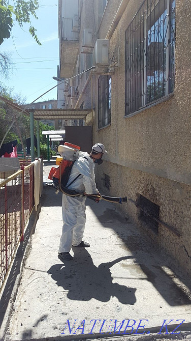 Disinfection disinsection deratization  - photo 2