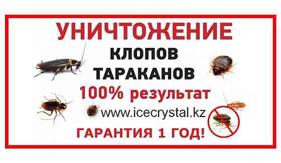 Гарантия! Дезинфекция насекомых муравьев,клопов,тараканов,крыс,клещей Almaty