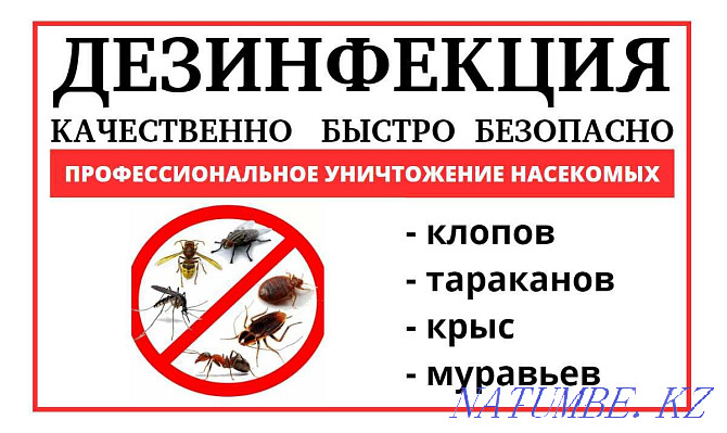 SES! Disinfection of insects cockroaches, ants, ticks, rats, bedbugs, wasps Kostanay - photo 1