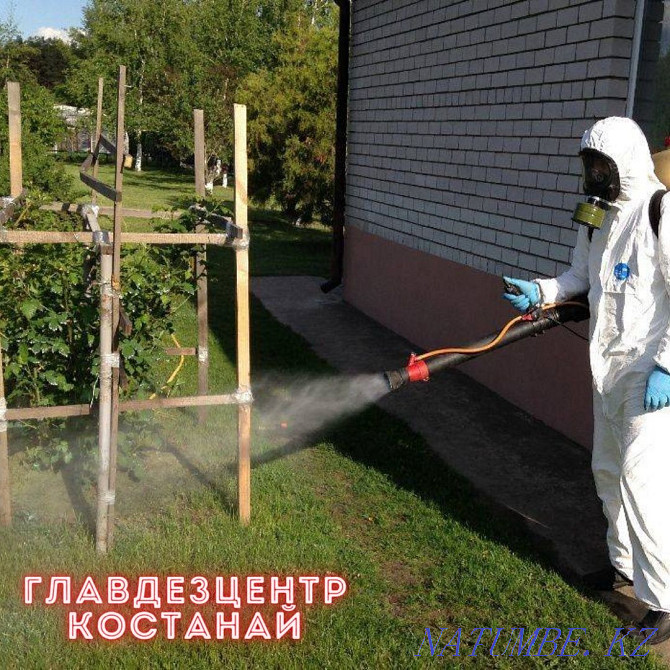 Processing plots, cottages, bases | Disinfection, disinsection Kostanay - photo 2