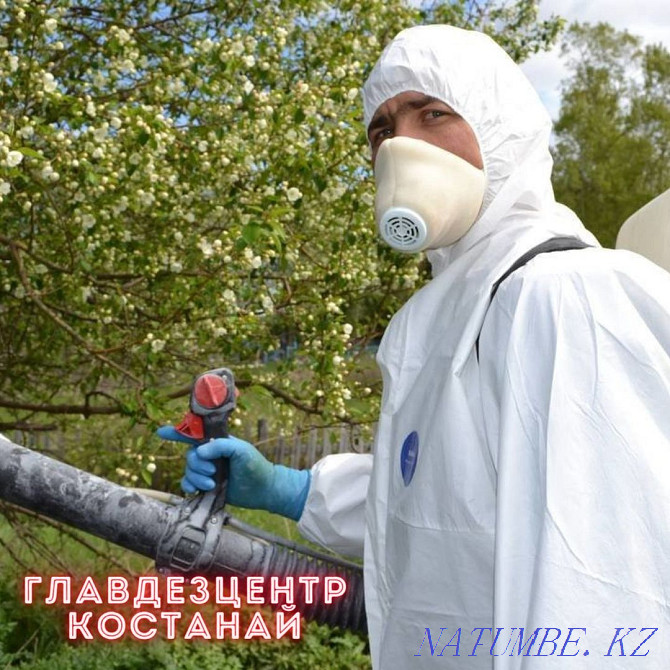 Processing plots, cottages, bases | Disinfection, disinsection Kostanay - photo 4