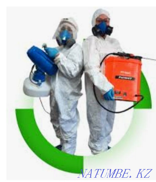 Disinfection, deratization, disinsection Балыкши - photo 2