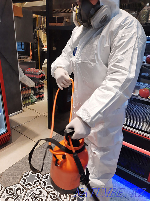 Disinfection, deratization, disinsection Балыкши - photo 3