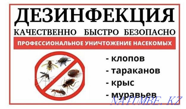 Дезинфекция Тараз. Резульат 100% Гпрантия! Тараз - изображение 1