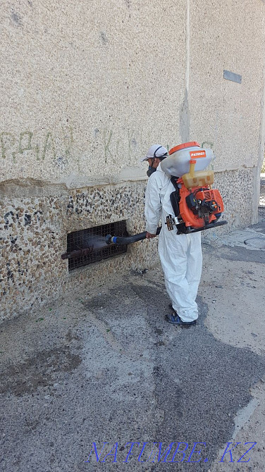 Дезинфекция дезинсекция дератизация  - изображение 3