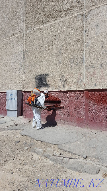 Дезинфекция дезинсекция дератизация  - изображение 4