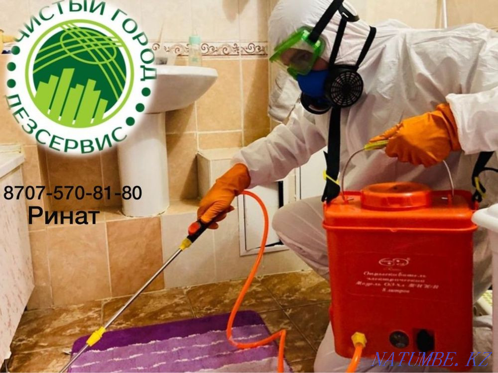 Таразда дезинфекция  Тараз  - изображение 1