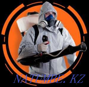 Disinfection Disinsection GUARANTEE Destruction of bedbugs mice shackle Kostanay - photo 1