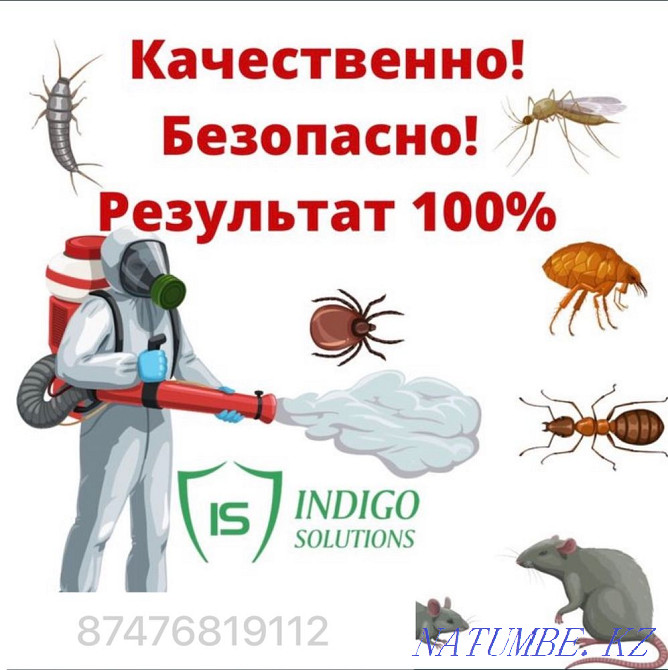 Disinfection, guarantee, quality Turkestan - photo 1