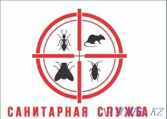 дезинфекция тараканов кандала клопов муравьев квартир дома Алматы - изображение 5