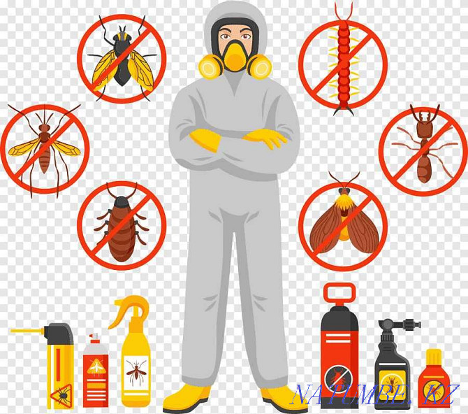 DISINFECTION OF VIRUSES, destruction of bedbugs, mice, flies, rats, cockroaches! Taraz - photo 1