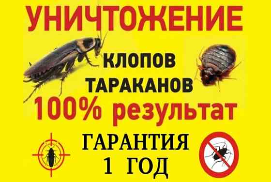 ДЕЗИНФЕКЦИЯ Уничтожение клопов ,мышей тараканов крыс Astana