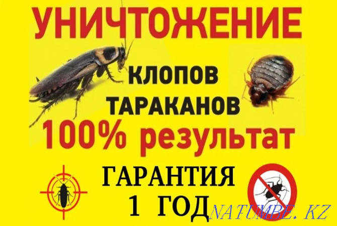 ДЕЗИНФЕКЦИЯ Уничтожение клопов ,мышей тараканов крыс Астана - изображение 1