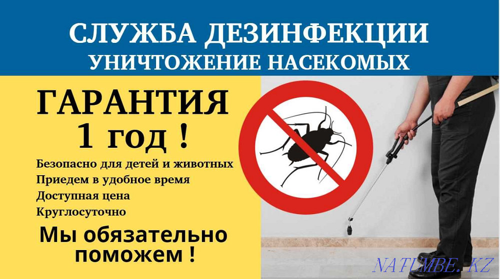 ДЕЗИНСЕКЦИЯ уничтожение клопов,тараканов,муравьев,крыс,клещей,мух,ос! Шымкент - изображение 1