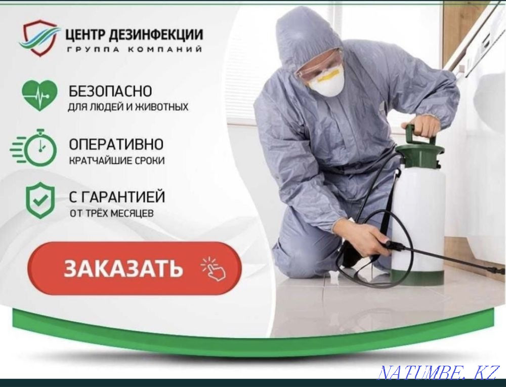Disinfection, bug, cockroach Turkestan - photo 2