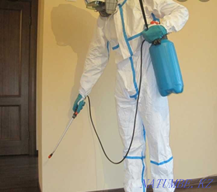Дезинфекция дезинфекция 100% Шымкент - изображение 2