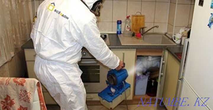 Дезинфекция дезинфекция 100% Шымкент - изображение 3