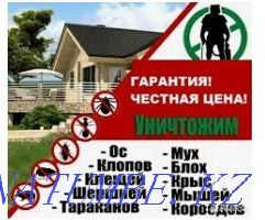 The best Disinstructors in Aktobe! We work for RESULT! 100% guarantee! Aqtobe - photo 1