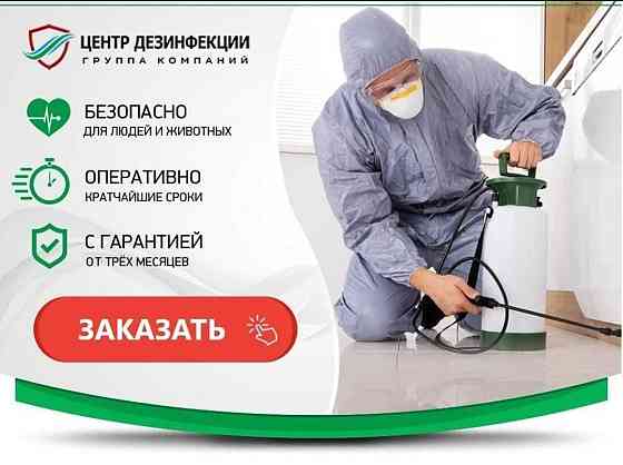 Дезинфекция от насекомых Astana