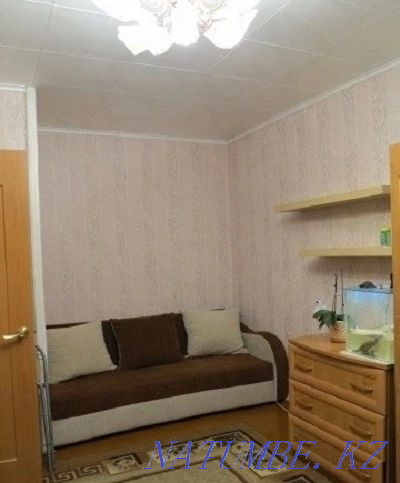  Павлодар - изображение 4