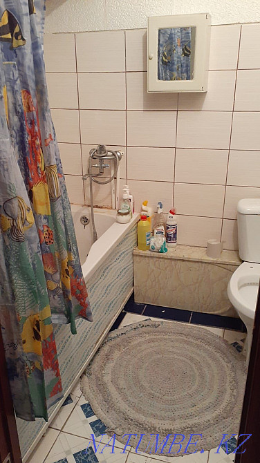  Петропавловск - изображение 5