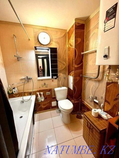  Павлодар - изображение 2