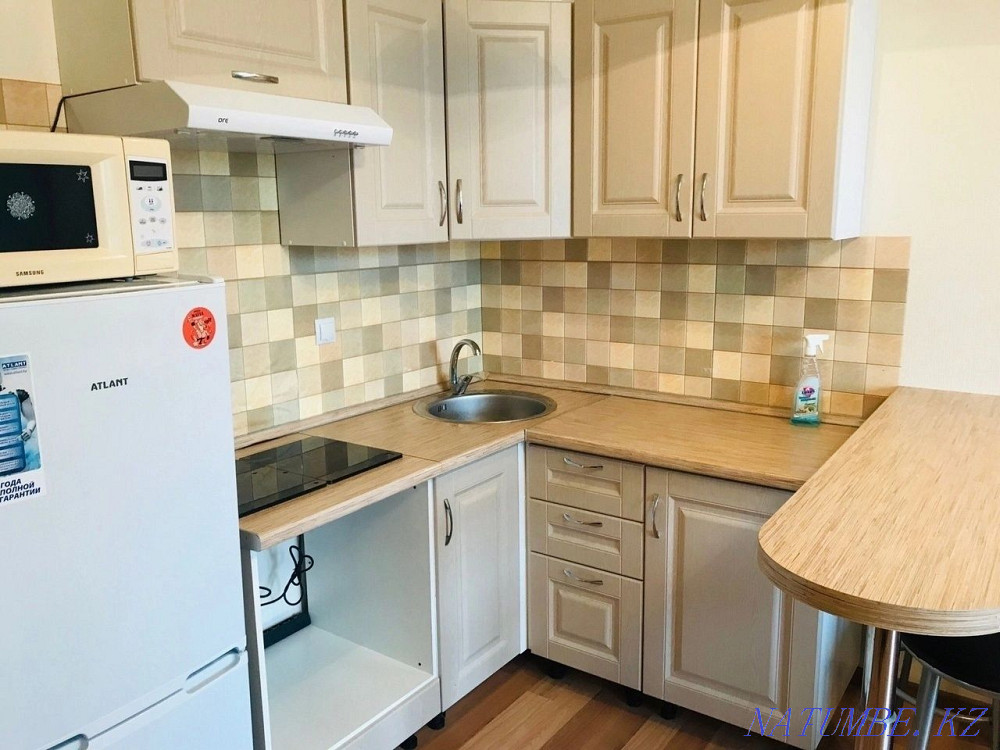  Павлодар - изображение 3