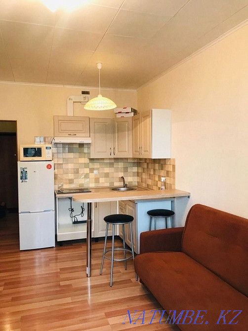  Павлодар - изображение 4