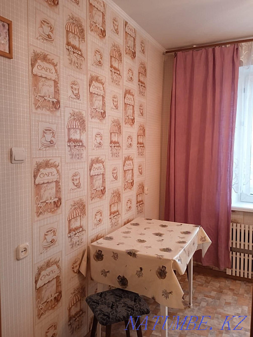  Усть-Каменогорск - изображение 4