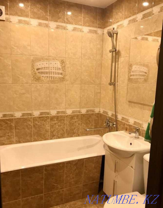  Шымкент - изображение 3