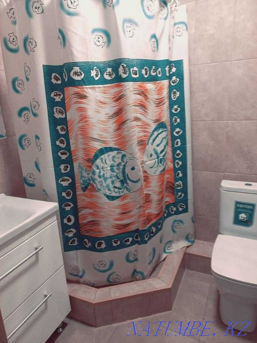   Қапшағай - изображение 6