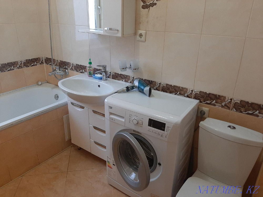  Павлодар - изображение 4