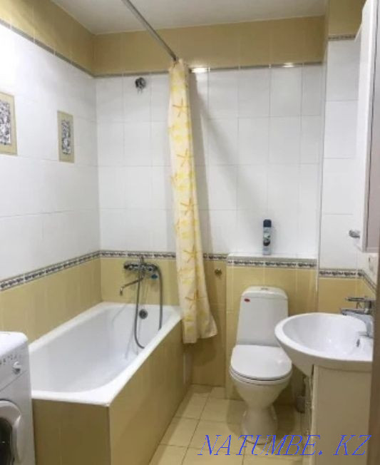  Шымкент - изображение 3