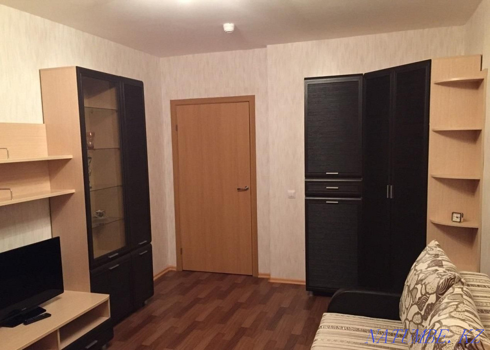  Шымкент - изображение 2