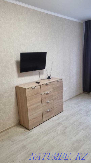  Павлодар - изображение 7