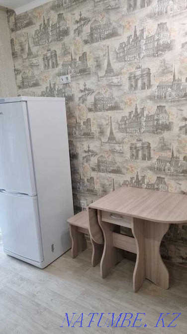  Павлодар - изображение 5