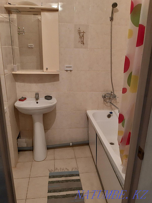   Павлодар  - изображение 4