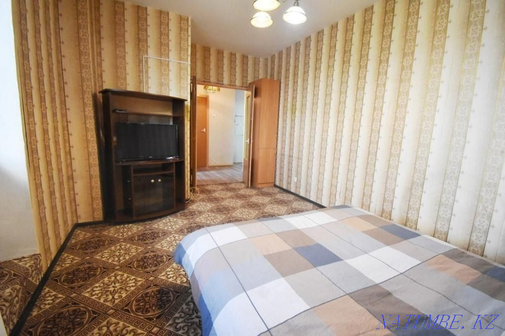   Павлодар  - изображение 2