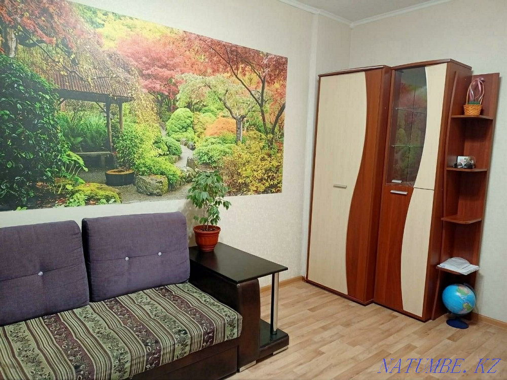   Павлодар  - изображение 1