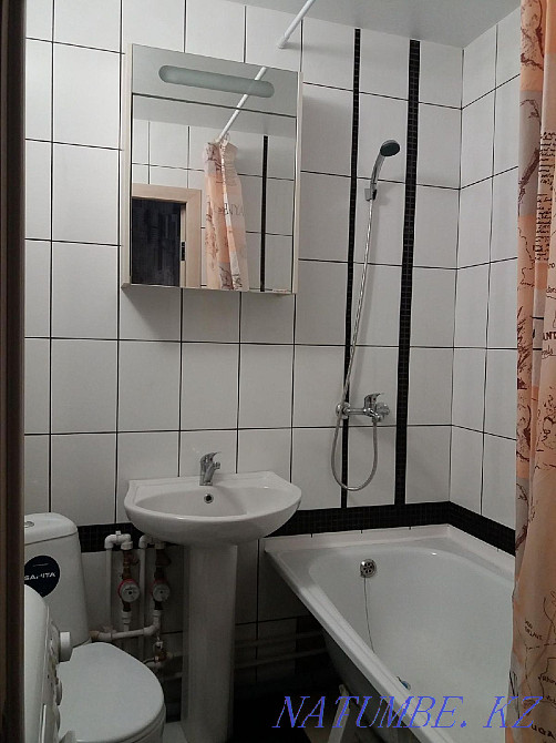  Павлодар - изображение 3