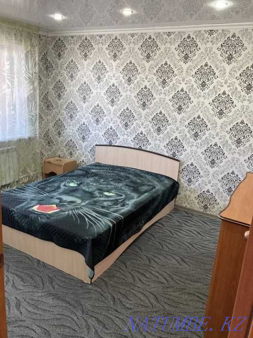  Караганда - изображение 3