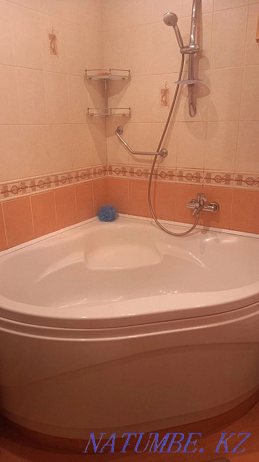  Шымкент - изображение 4