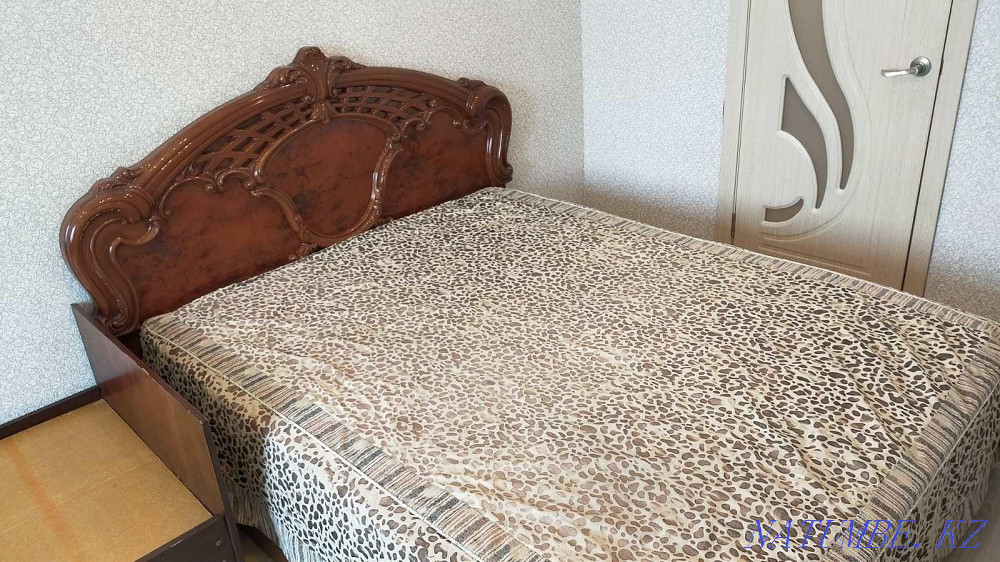  Сатпаев - изображение 5